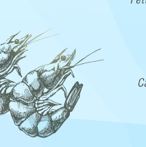 Festival de Frutos do Mar - De 28 de março a 09 de abril. Surpreenda-se com essa combinação de cores e sabores. Reservar!