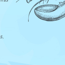 Festival de Frutos do Mar - De 28 de março a 09 de abril. Surpreenda-se com essa combinação de cores e sabores. Reservar!