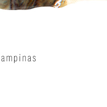 Festival de Frutos do Mar - De 28 de março a 09 de abril. Surpreenda-se com essa combinação de cores e sabores. Reservar!